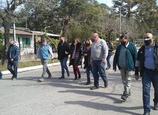 IPV Berdina